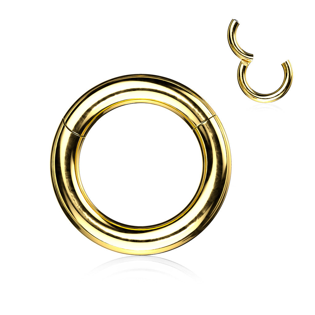 Hinged Segment Hoop Rings | 18 gauge