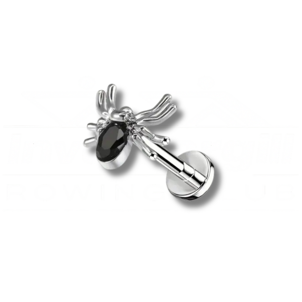 Silver earring with a black gemstone on a white background