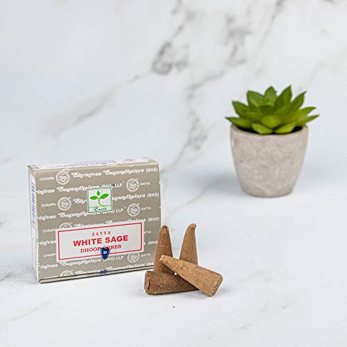 Satya White Sage | Incense Cones