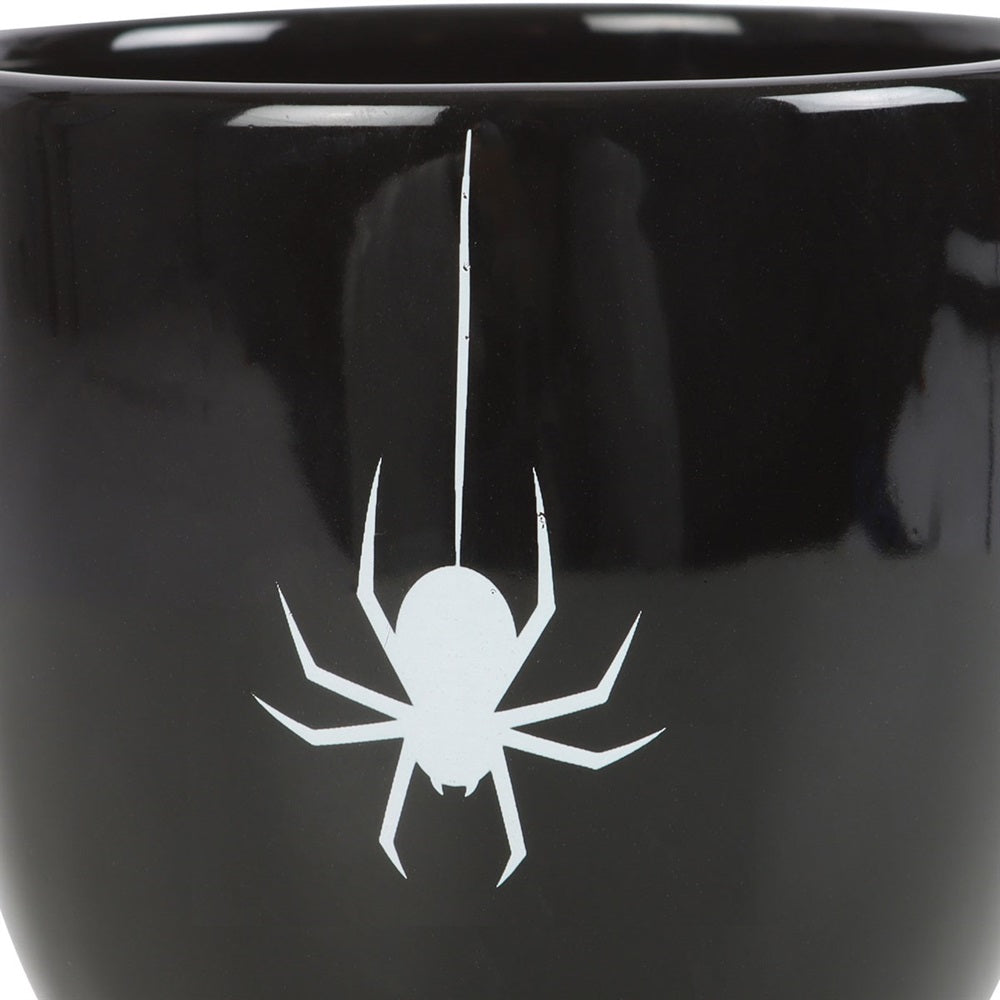 Black Spider | Teacup