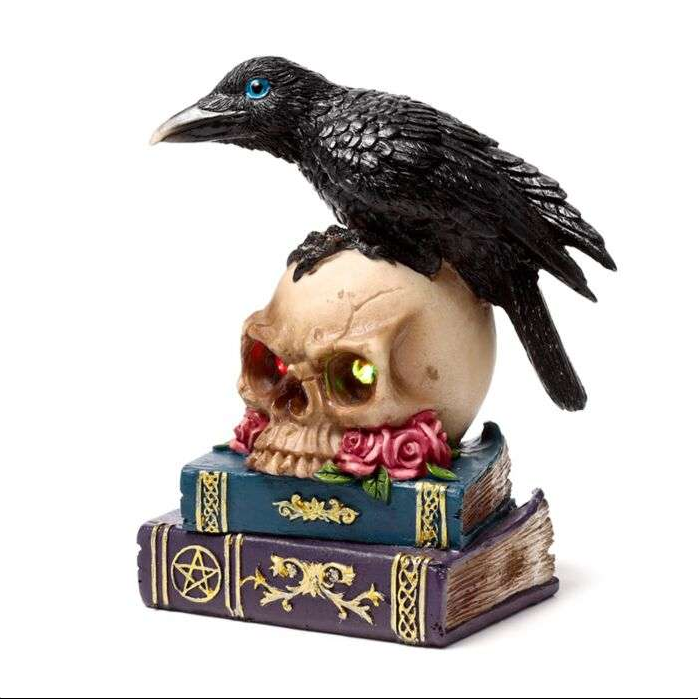 Skull with crow on top of books with pentacle design on a white background