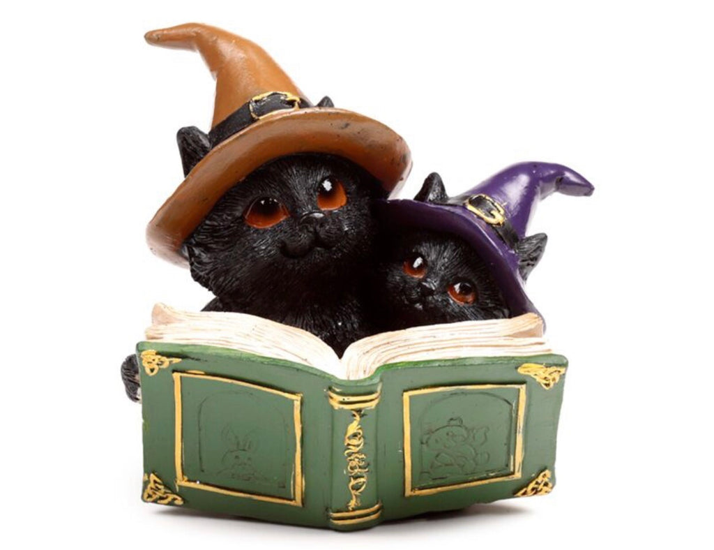 Two black cats in witch hats sitting inside an open book on a white background