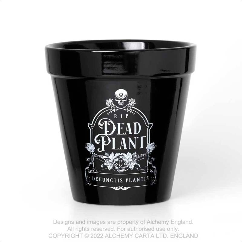 Dead Plant Plant Pot | Alchemy 