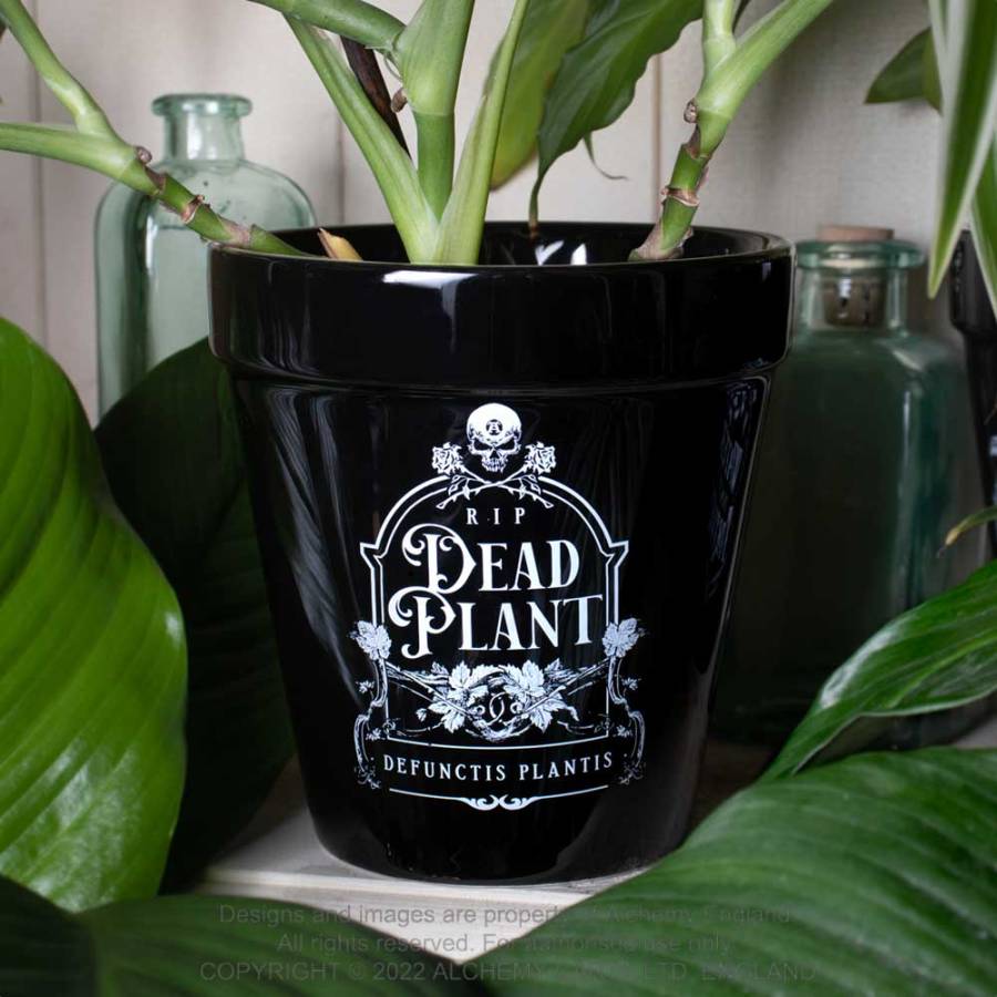 Dead Plant Plant Pot | Alchemy 