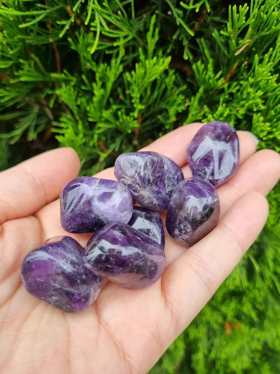 Amethyst | Tumbled Stone