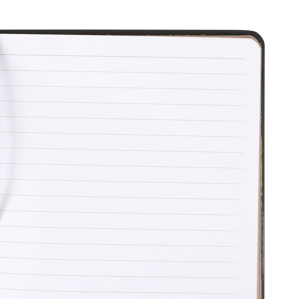 Close-up of a notebook with lined pages on a white background