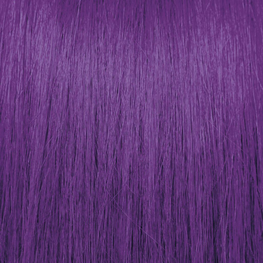 ✨NEW✨ Pravana Chromasilk Everlasting l Violet Reign 90ml