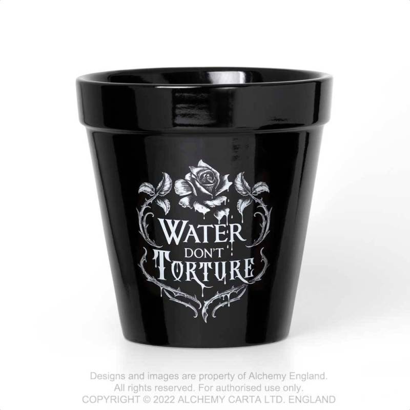 Water Don't Torture Plant Pot | Alchemy